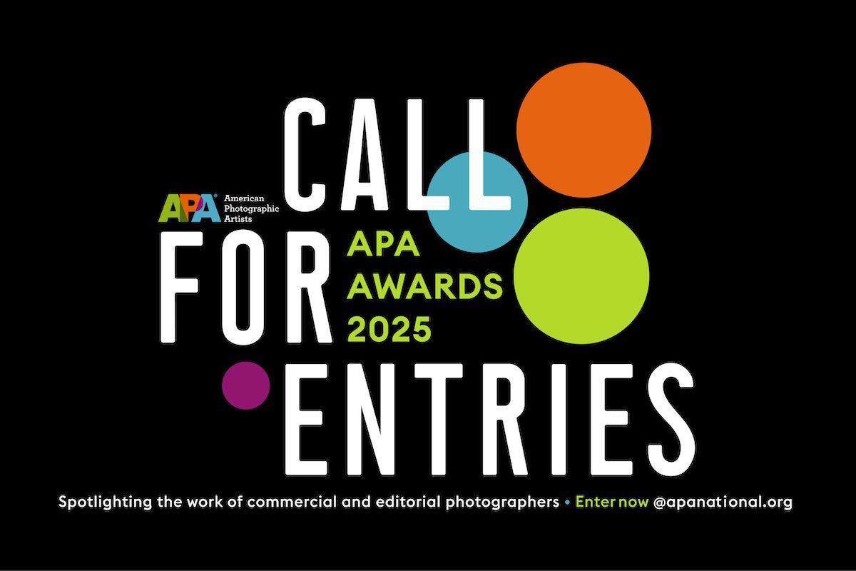apa call for entries